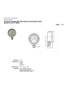 HYDRAULIC PRESSURE GAUGE DN100 0-250 BAR VERTICAL CONNECTION