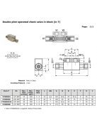 DOUBLE PILOT OPERATED CHECK VALVE 3/8"